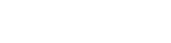 Fiero Group