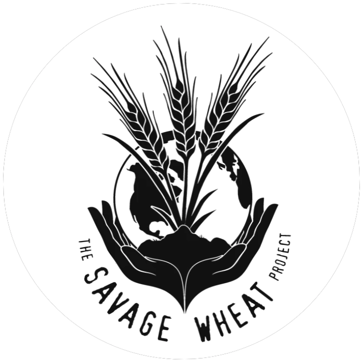 Savage Wheat