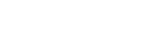 eCook Stove