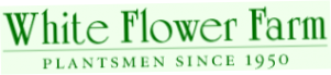 White Flower Farm