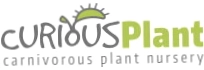 Curious Plant