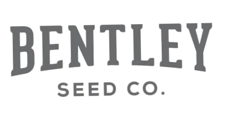 Bentley Seeds