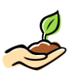 Main Street Seed and Supply