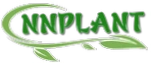 Nnplant