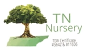 Tennessee Wholesale Nursery