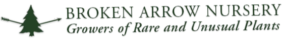 Broken Arrow Nursery