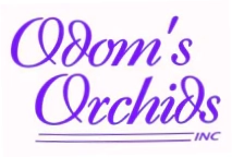 Odom's Orchids