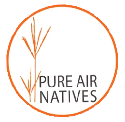 Pure Air Natives