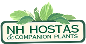 NH Hostas