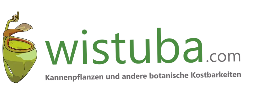 Wistuba