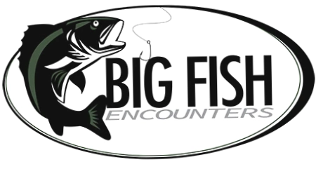 Big Fish Encounters