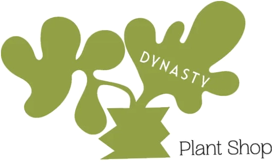 Dynasty Plant Shop