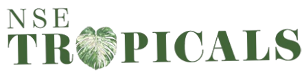 NSE Tropicals