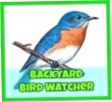 Backyard Bird Watcher