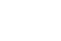 Bridger Boiler
