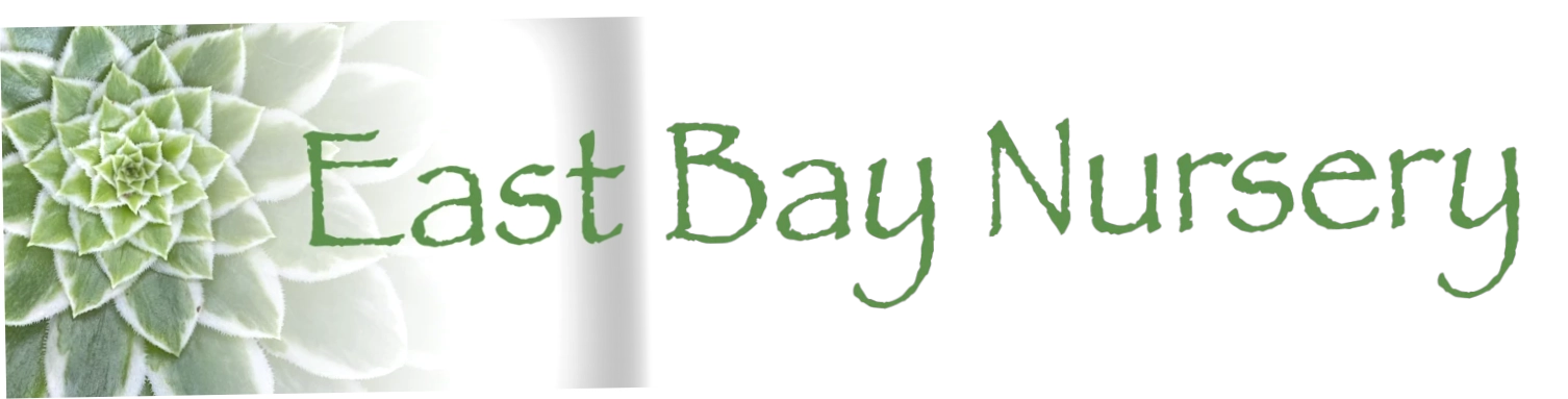 East Bay Nursery