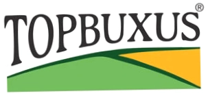 TOPBUXUS