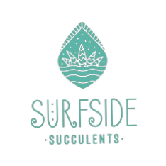 Surfside Succulents