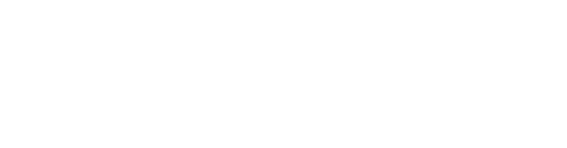 Electra Meccanica