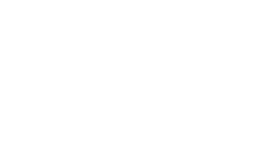 Economy Honda