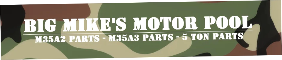 BIG MIKE'S MOTOR POOL
