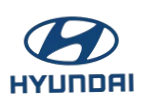 Wright Hyundai