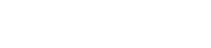 Performanceplustire