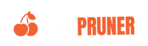 Dude Pruner