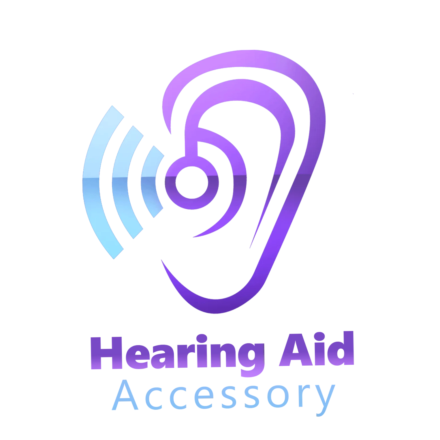 Hearing Aid Accessory