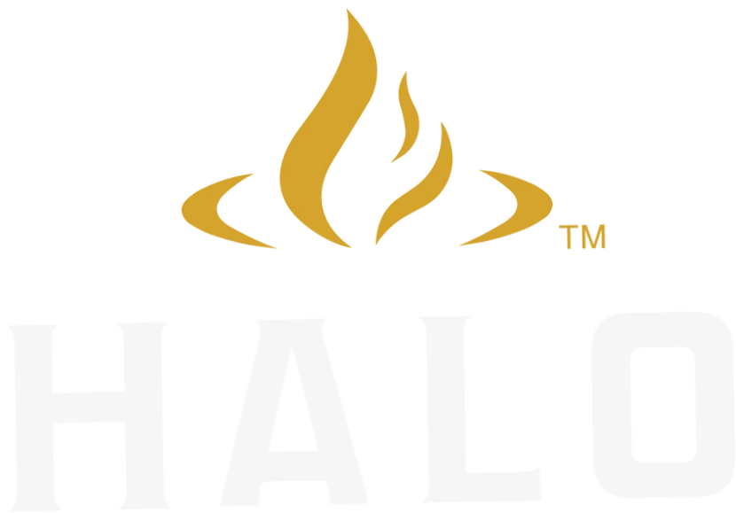 Halo Pizza Oven