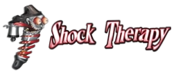 Shock Therapy