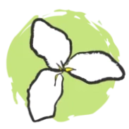 Trillium Montessori
