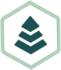 Evergreencases