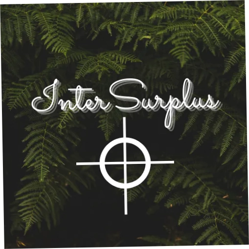 Intersurplus