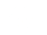 Z Precision