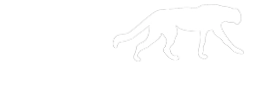 Wild Scooter Parts