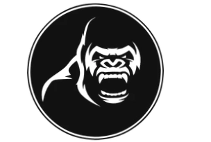 Kong Performance