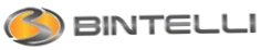 Bintelli Parts