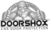DoorShox