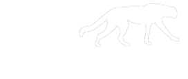 Wild Powersports