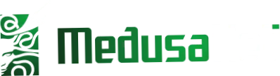 Medusa Heli
