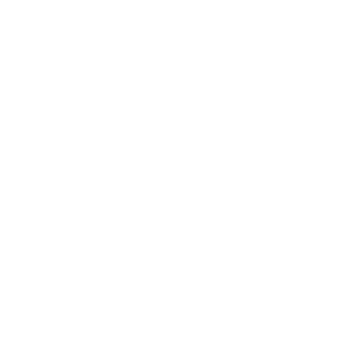 Shutter Junkies