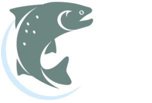 Bullnose Products