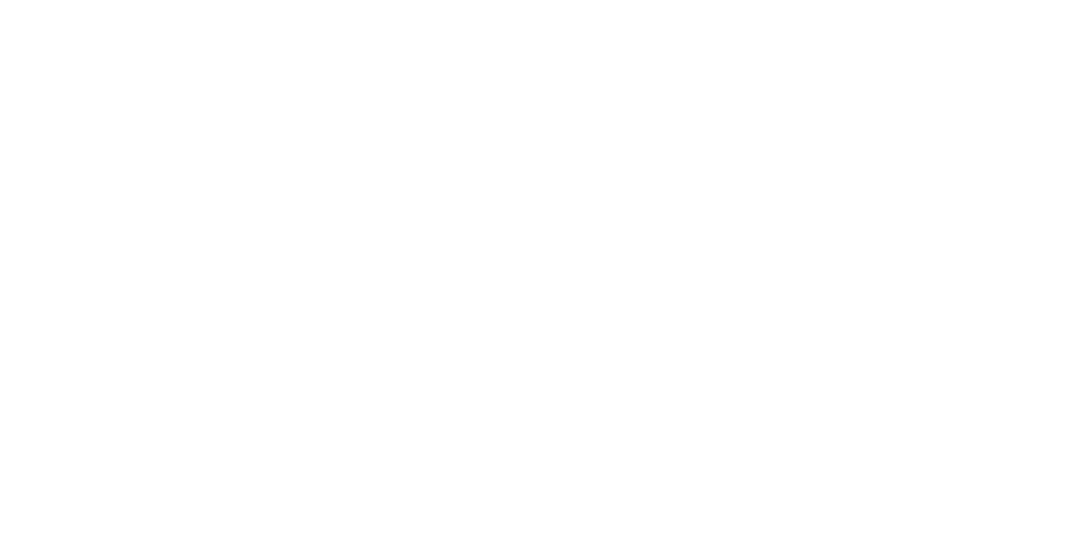The Party Girl