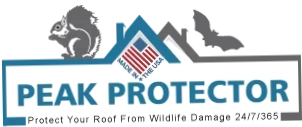 Peak Protector