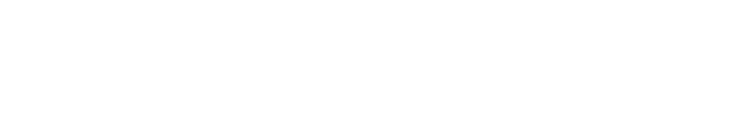 Webcartridge