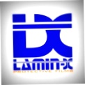 Lamin-x