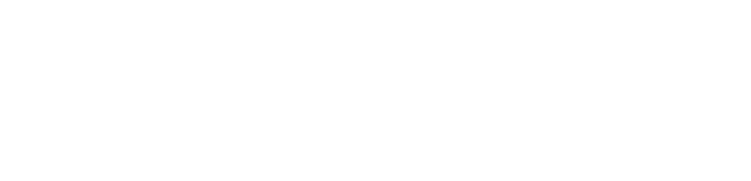 Neo Charge