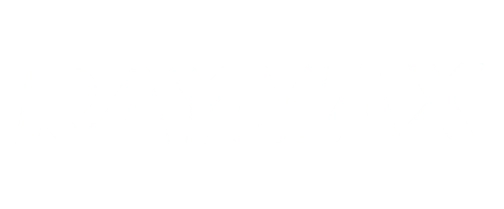 Raymax