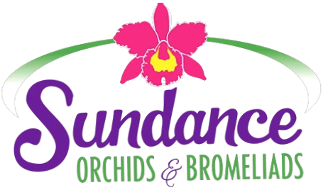 Sundance Orchids